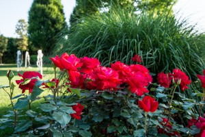 feste private in giardino