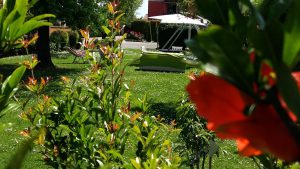 feste private in giardino