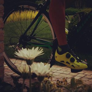bed and bike a venezia
