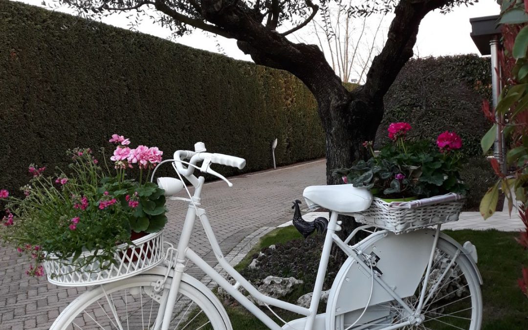 Bed and Bike a Venezia