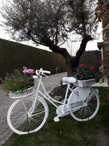 bed and bike a venezia